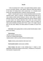 Referāts 'Pilngadīgo skolēnu un studentu politiskās līdzdalības apskats', 5.