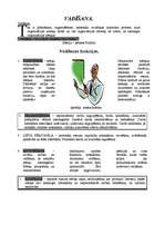 Konspekts 'Vadīšana', 1.