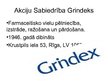 Prezentācija 'Uzņēmuma pētījums - a/s "Grindeks"', 2.