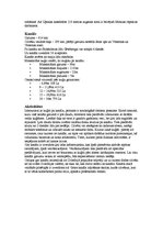 Konspekts 'Jetas (Göta) kanāls Zviedrijā', 3.