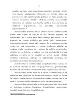 Referāts 'Eiropas Savienības ietekme uz autortiesībām Latvijā', 11.