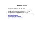 Referāts 'Bailes un fobijas', 16.