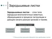 Prezentācija 'Зародышевые листки', 2.