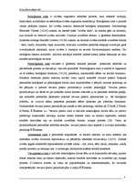 Referāts 'Personība sociālā vidē', 6.