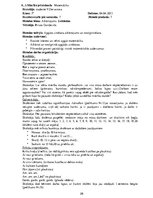 Prakses atskaite 'Pirmsdiploma prakses dienasgrāmata', 26.