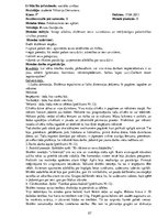 Prakses atskaite 'Pirmsdiploma prakses dienasgrāmata', 57.