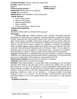 Prakses atskaite 'Pirmsdiploma prakses dienasgrāmata', 81.