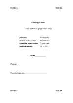 Eseja 'Darbinieku motivācijas metodes sabiedrībā ar ierobežotu atbildību „xxxx”', 1.