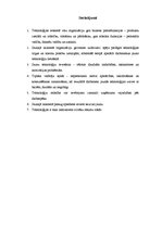 Referāts 'Tehnoloģiju attīstības ietekme uz procesiem jaunā laikmeta organizācijā', 8.