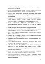 Diplomdarbs 'Debitoru parādu pārvaldības pilnveide dzērienu vairumtirdzniecības uzņēmumos Lat', 65.