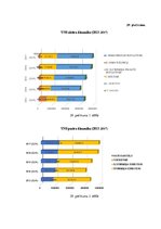 Diplomdarbs 'Debitoru parādu pārvaldības pilnveide dzērienu vairumtirdzniecības uzņēmumos Lat', 100.