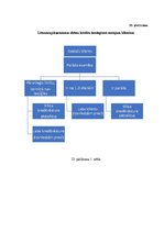 Diplomdarbs 'Debitoru parādu pārvaldības pilnveide dzērienu vairumtirdzniecības uzņēmumos Lat', 105.