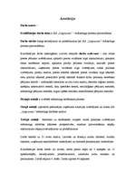 Referāts 'SIA "Latgranula" mārketinga procesa pilnveidošana', 40.