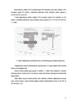Diplomdarbs 'Notekūdeņu dūņu sintēzes gāzes izmantošanas koģenerācijā tehniski ekonomiskais p', 11.