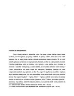 Referāts 'Dubultpilsonība', 4.