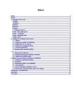 Referāts 'A/S "Rīgas piena kombināts" sortimenta novērtējums', 3.