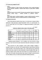 Referāts 'A/S "Rīgas piena kombināts" sortimenta novērtējums', 13.