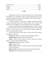 Referāts 'Mātes tēla pielietojums reklāmas plakātu materiālos', 3.