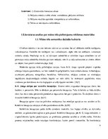 Referāts 'Mātes tēla pielietojums reklāmas plakātu materiālos', 4.