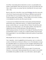 Referāts 'Mātes tēla pielietojums reklāmas plakātu materiālos', 14.