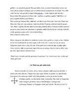 Referāts 'Mātes tēla pielietojums reklāmas plakātu materiālos', 18.