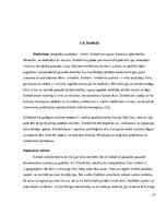 Referāts 'Mātes tēla pielietojums reklāmas plakātu materiālos', 27.