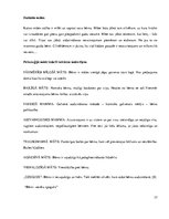 Referāts 'Mātes tēla pielietojums reklāmas plakātu materiālos', 37.