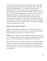 Referāts 'Mātes tēla pielietojums reklāmas plakātu materiālos', 48.