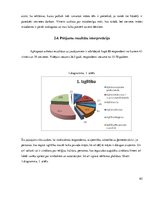 Referāts 'Mātes tēla pielietojums reklāmas plakātu materiālos', 62.