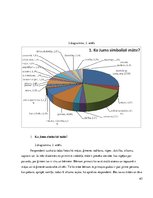 Referāts 'Mātes tēla pielietojums reklāmas plakātu materiālos', 63.