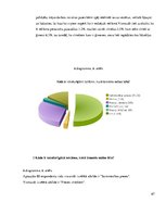 Referāts 'Mātes tēla pielietojums reklāmas plakātu materiālos', 67.