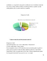 Referāts 'Mātes tēla pielietojums reklāmas plakātu materiālos', 70.