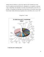 Referāts 'Mātes tēla pielietojums reklāmas plakātu materiālos', 78.