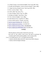 Referāts 'Mātes tēla pielietojums reklāmas plakātu materiālos', 85.