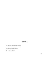 Referāts 'Mātes tēla pielietojums reklāmas plakātu materiālos', 87.