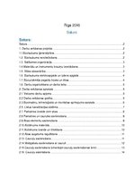 Paraugs 'Darba veikšanas projekts', 2.