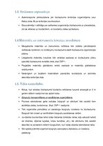 Paraugs 'Darba veikšanas projekts', 4.