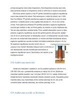 Paraugs 'Darba veikšanas projekts', 10.