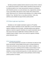 Paraugs 'Darba veikšanas projekts', 11.