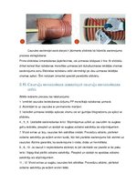 Paraugs 'Darba veikšanas projekts', 13.