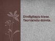 Prezentācija 'Divdīgļlapju klase. Tauriņziežu dzimta', 1.