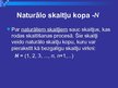 Prezentācija 'Skaitļu kopas', 6.
