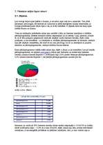 Referāts 'Viesnīcu tīmekļa vieta (mājas lapa)', 7.