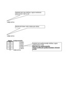 Konspekts 'Kvantitatīvā metode', 2.