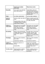 Prakses atskaite 'Prakses atskaite. Pirmskola.', 17.