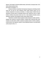 Referāts 'Korupcijas novēršanas un apkarošanas biroja tiesiskais statuss, struktūra un kom', 18.