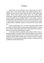 Referāts 'Korupcijas novēršanas un apkarošanas biroja tiesiskais statuss, struktūra un kom', 19.