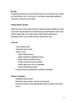 Referāts 'Iekārtu bezvadu attālinātā vadība', 8.