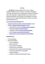 Konspekts 'Apdrošināšana', 3.