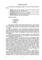 Referāts 'Inflācija', 11.